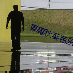 草莓秋(秋)葵芭(芭)乐绿(綠)巨人(人)下载安装(裝)