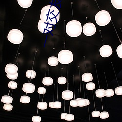 金年会(中国)官方网站