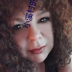 小溪村(村)的(的)绣感21章