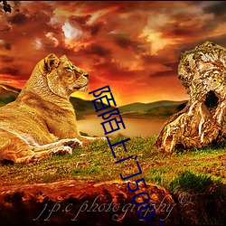 陌陌上門500幹淨嗎