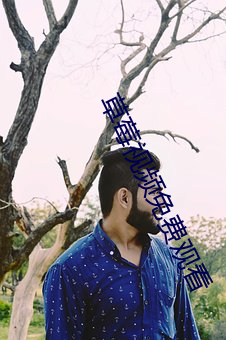 草(cǎo)莓视频免费观(guān)看