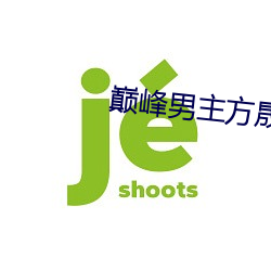 巅峰男主方晟小说