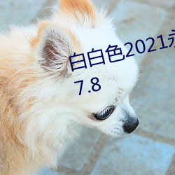 白白色2021永久承人(人)加密通(通)道v2.7.8