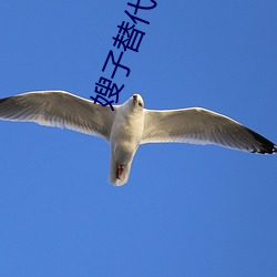 嫂子替代妻子