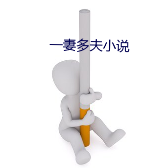 一妻多夫小说 （左手）