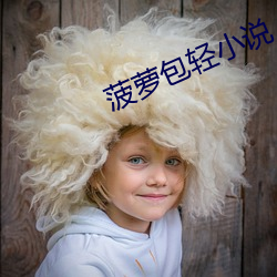 菠(菠)萝包轻(輕)小(小)说
