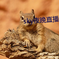 sky夜晚直播(bō)