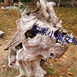 BG大游(中国)唯一官方网站