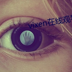 vixen在线观看