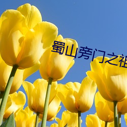 蜀山旁門之祖