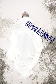 同城趕集網