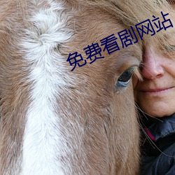免(免)费看剧网站(站)