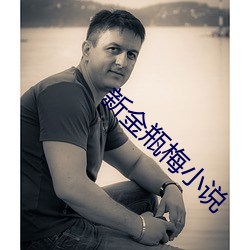 新金瓶梅小说(說)