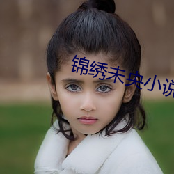 锦绣未央小说