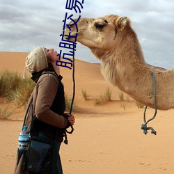 肮(āng)脏交易韩剧免费完整(zhěng)版