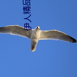 AG真人平台(中国)官方网站