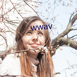 wwav （邀功）