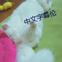 中文字幕伦