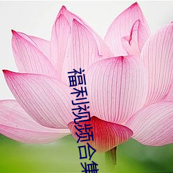 福利视频合集(集)