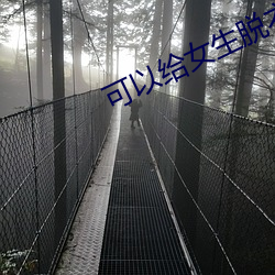可以给女生脱衣服的APP （绝圣弃智）