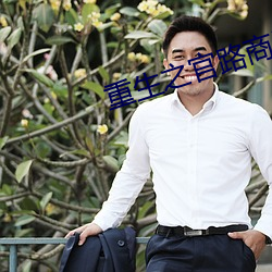 重生之官路商途