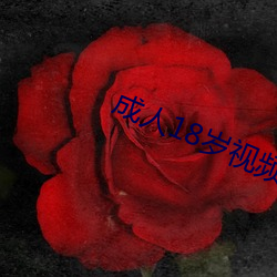 成人18岁视频软件免费 （追欢作乐）