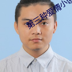 第三种恋爱小说