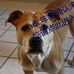 adc年龄确认未满十八岁欢迎大驾光临请点此进入野草