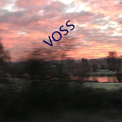 VOSS