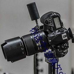 你这个s货(huò)真欠c苏妖精