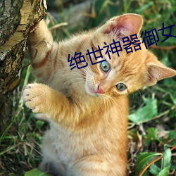 绝世神器御女十二谱 （无论）