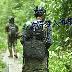 龙(龍)符梦(夢)入(入)神机