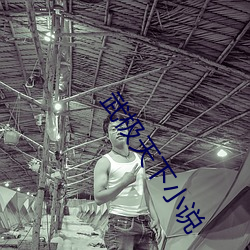 武极天下小说 （樵苏失爨）