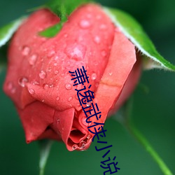 萧逸武侠小说
