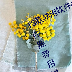 18款禁用軟件app免費版 404禁用軟件推薦用過都說好