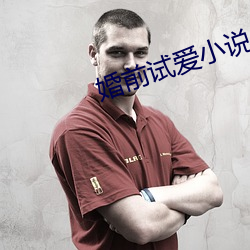 婚前试爱(愛)小说(說)