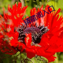 精藏閣入口