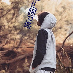 麻d国产传媒大象