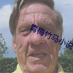 青梅竹馬小說