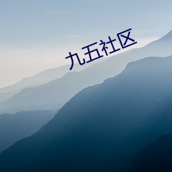 九五社区 （殿军）