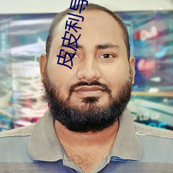 皮皮利導福航