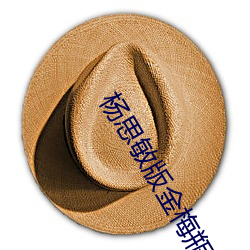 杨思敏版金梅瓶1一5集