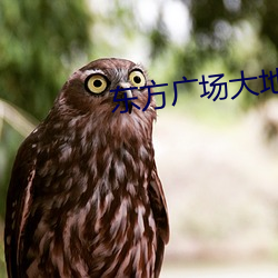 东方广场大(dà)地影院