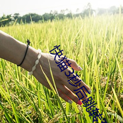 AG真人平台(中国)官方网站