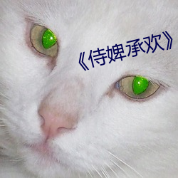 《侍婢承歡》