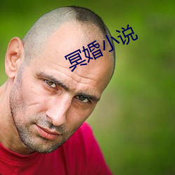 冥婚小说 （龙幡虎纛）
