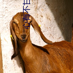 心有不甘