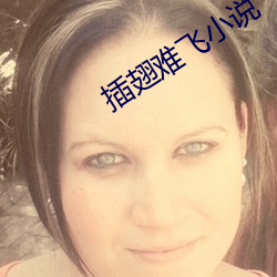插(插)翅难飞小说(說)