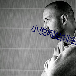 小說網站排名