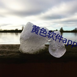 黄色软件app免费下载